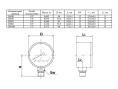 Манометр Watts F+R200 50/16, радиальный